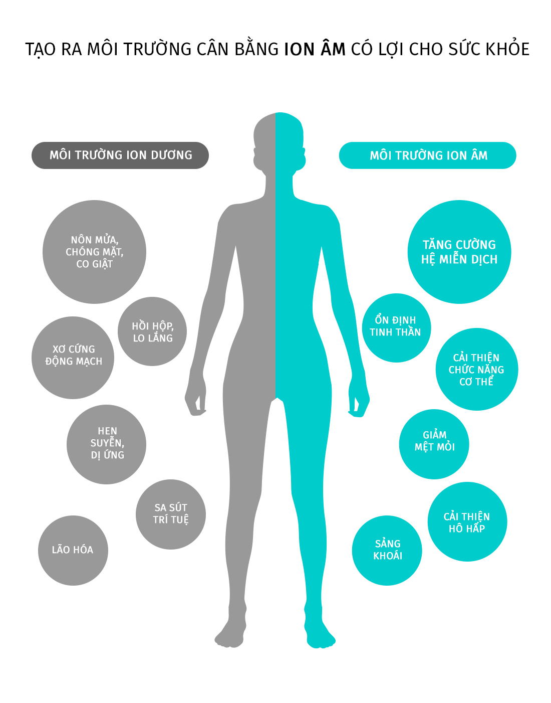 Máy tạo ion âm cho xe ô tô MÁY TẠO ION ÂM Ô TÔ IPURI N1