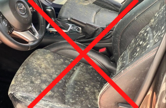 chống ẩm mốc nội thất